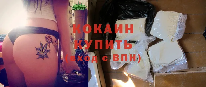 ссылка на мегу вход  Мышкин  Cocaine 99% 